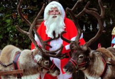 Santa & 2 reindeer