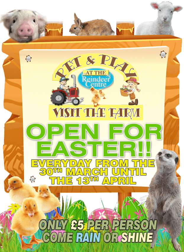 FunonFarmbuttonPhoneEaster2 The Reindeer Centre