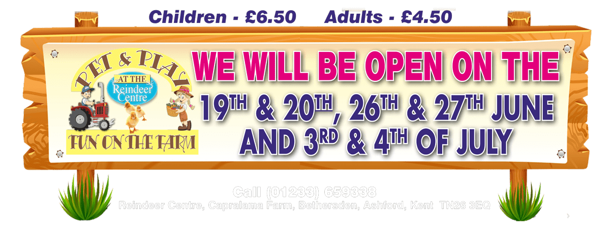 Header-Pet-&-Play-summer-2021 Easter Opening Date
