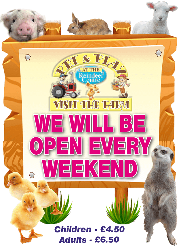 Fun-on-Farm-button-Phone-summer-2021-v2 Easter Opening